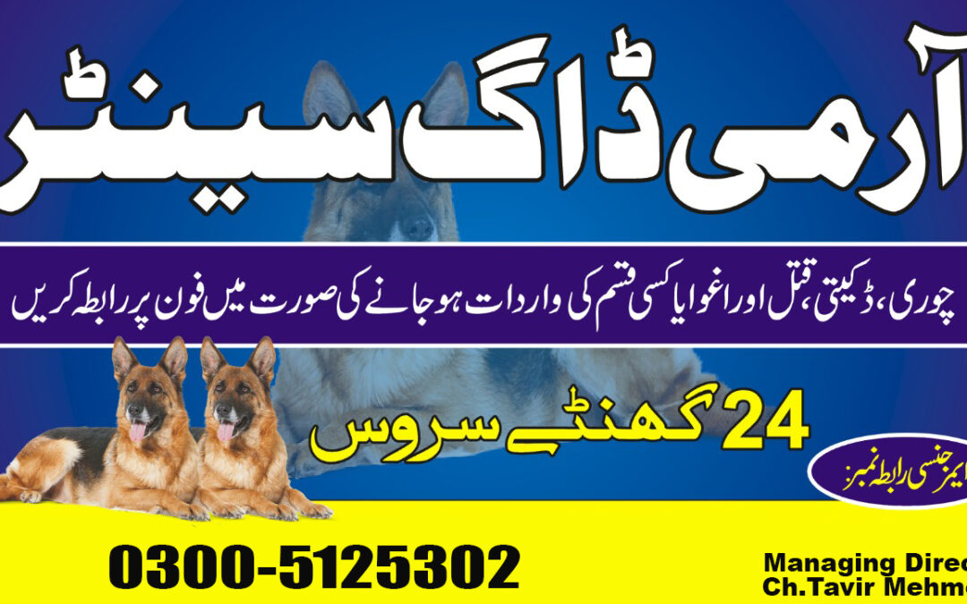 Spy Dog Center in Pakistan 03115371200